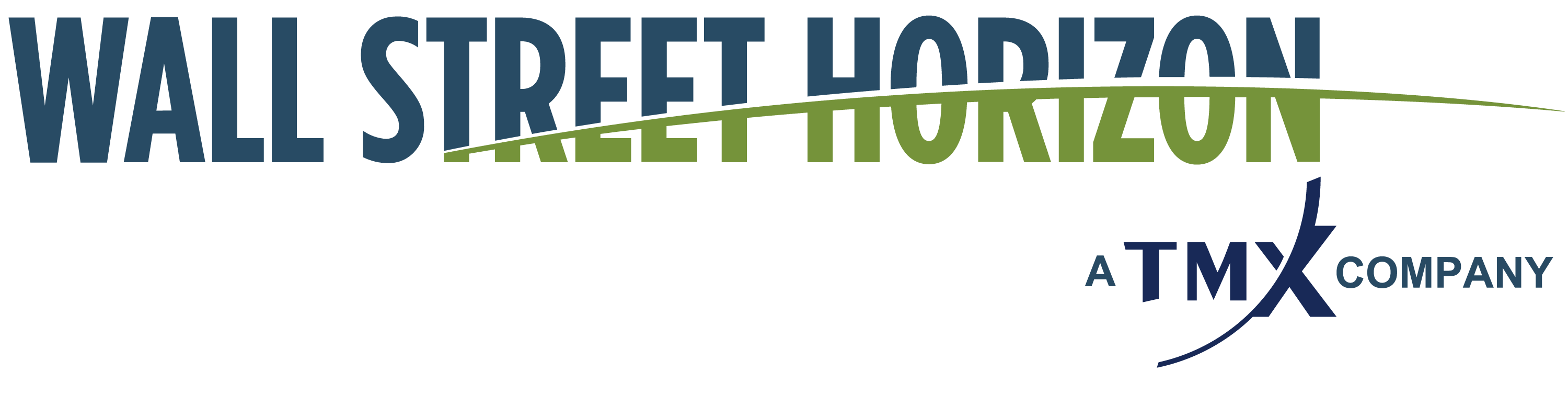 TMX WSH Logo